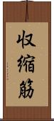 収縮筋 Scroll