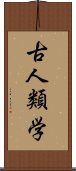 古人類学 Scroll