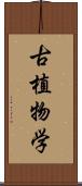 古植物学 Scroll