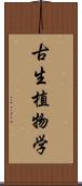 古生植物学 Scroll