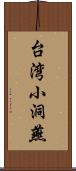 台湾小洞燕 Scroll