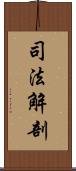 司法解剖 Scroll