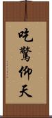 吃驚仰天 Scroll