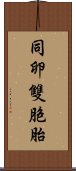 同卵雙胞胎 Scroll