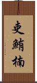 吏鮪楠 Scroll