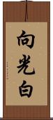 向光白 Scroll