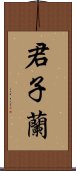 君子蘭 Scroll