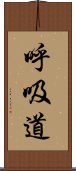 呼吸道 Scroll