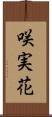 咲実花 Scroll