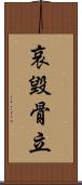 哀毀骨立 Scroll