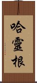 哈靈根 Scroll