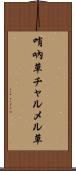 哨吶草 Scroll