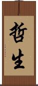 哲生 Scroll