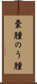 嚢腫 Scroll