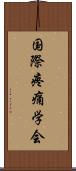 国際疼痛学会 Scroll