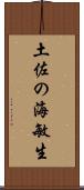 土佐の海敏生 Scroll