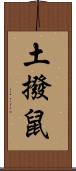 土撥鼠 Scroll
