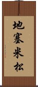 地塞米松 Scroll