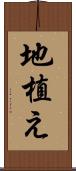 地植え Scroll
