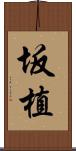 坂植 Scroll