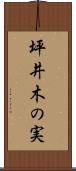 坪井木の実 Scroll