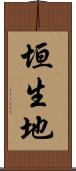 垣生地 Scroll