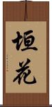 垣花 Scroll
