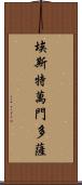 Estevan Mendoza Scroll