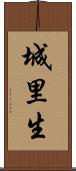城里生 Scroll