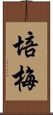 培梅 Scroll