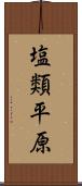 塩類平原 Scroll