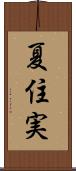 夏住実 Scroll