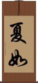 夏如 Scroll