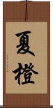 夏橙 Scroll