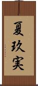 夏玖実 Scroll