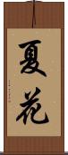 夏花 Scroll