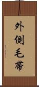 外側毛帯 Scroll