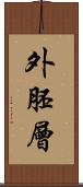 外胚層 Scroll