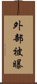 外部被曝 Scroll