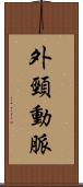 外頸動脈 Scroll