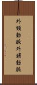 外頸動脈 Scroll