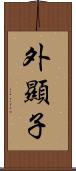 外顯子 Scroll
