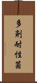 多剤耐性菌 Scroll