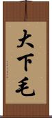 大下毛 Scroll
