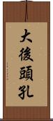 大後頭孔 Scroll