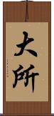 大所 Scroll