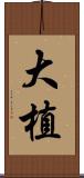 大植 Scroll