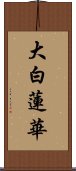 大白蓮華 Scroll