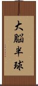 大脳半球 Scroll