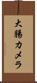 大腸カメラ Scroll
